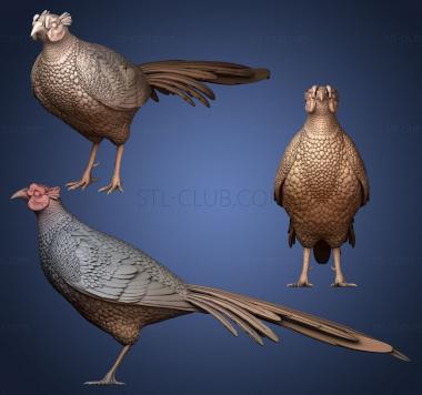 3D model pheasant (STL)